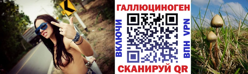 Купить где  Чишмы  Галлюциногенные грибы MAGIC MUSHROOMS 